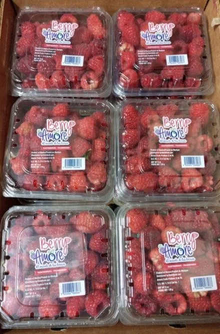 Caja de clamshells de frambuesa Berry Amore